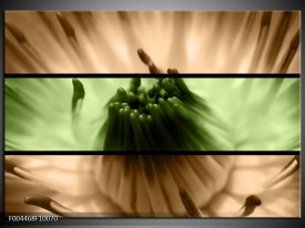 Glas schilderij Bloem | Groen, Bruin, Zwart