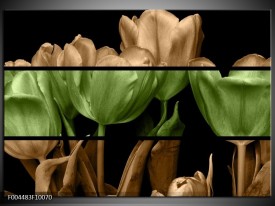 Foto canvas schilderij Tulp | Groen, Bruin, Zwart