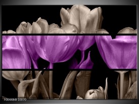 Glas schilderij Tulp | Paars, Grijs, Zwart