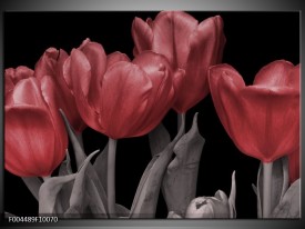 Glas schilderij Tulp | Rood, Grijs, Zwart