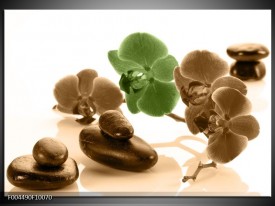 Glas schilderij Orchidee | Groen, Bruin, Wit