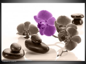 Glas schilderij Orchidee | Paars, Grijs, Wit