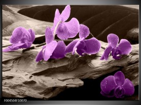 Foto canvas schilderij Orchidee | Paars, Grijs