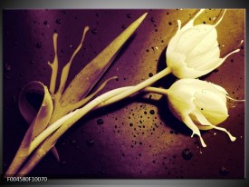 Foto canvas schilderij Tulp | Bruin, Wit, Paars