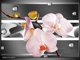 Glas schilderij Orchidee | Grijs, Roze, Wit