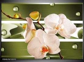 Foto canvas schilderij Orchidee | Groen, Roze, Wit