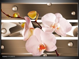 Glas schilderij Orchidee | Bruin, Roze