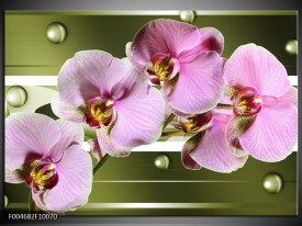 Glas schilderij Orchidee | Groen, Paars, Roze