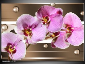 Glas schilderij Orchidee | Bruin, Paars, Roze