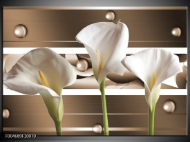 Foto canvas schilderij Bloem | Bruin, Wit, Groen