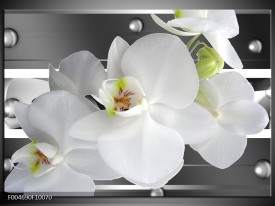 Foto canvas schilderij Orchidee | Grijs, Wit