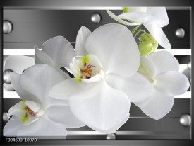 Glas schilderij Orchidee | Grijs, Wit