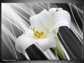 Foto canvas schilderij Bloem | Grijs, Wit, Groen