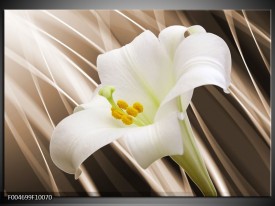 Foto canvas schilderij Bloem | Bruin, Wit, Groen