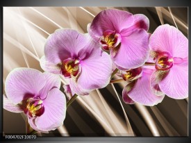 Foto canvas schilderij Orchidee | Groen, Bruin, Roze
