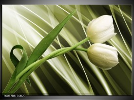 Foto canvas schilderij Tulp | Grijs, Wit, Groen