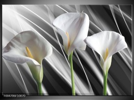 Foto canvas schilderij Bloem | Grijs, Wit, Groen