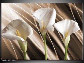 Foto canvas schilderij Bloem | Bruin, Wit, Groen