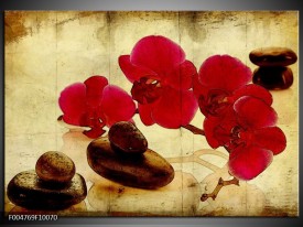 Foto canvas schilderij Orchidee | Rood, Bruin, Geel