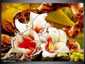 Foto canvas schilderij Bloem | Wit, Rood, Geel