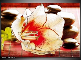 Foto canvas schilderij Bloem | Wit, Rood, Geel