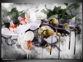 Foto canvas schilderij Orchidee | Wit, Grijs