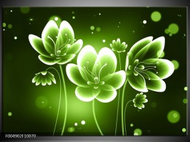 Foto canvas schilderij Bloem | Groen, Wit