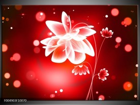 Foto canvas schilderij Bloem | Rood, Wit