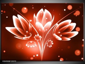 Foto canvas schilderij Bloem | Rood, Wit