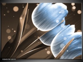 Glas schilderij Tulp | Blauw, Bruin