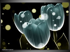 Foto canvas schilderij Tulp | Blauw, Zwart