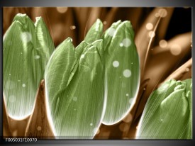 Foto canvas schilderij Tulp | Groen, Bruin