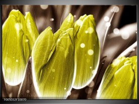 Foto canvas schilderij Tulp | Geel, Grijs