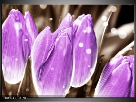 Foto canvas schilderij Tulp | Paars, Grijs