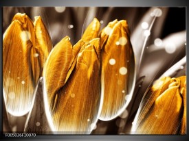 Foto canvas schilderij Tulp | Oranje, Grijs