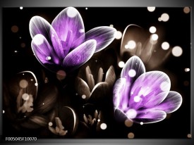 Foto canvas schilderij Bloem | Paars, Grijs