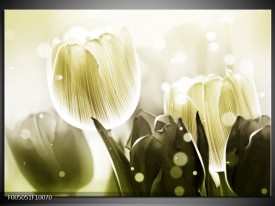 Glas schilderij Tulp | Wit, Grijs