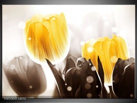 Foto canvas schilderij Tulp | Geel, Grijs