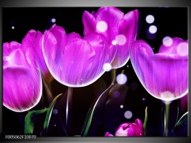 Foto canvas schilderij Tulp | Paars, Zwart