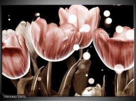 Foto canvas schilderij Tulp | Bruin, Zwart