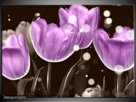 Foto canvas schilderij Tulp | Paars, Grijs