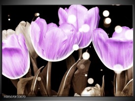 Foto canvas schilderij Tulp | Paars, Grijs