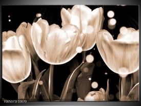 Foto canvas schilderij Tulp | Wit, Grijs