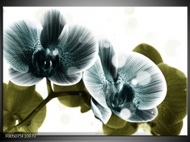 Glas schilderij Orchidee | Blauw, Groen
