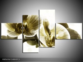 Canvas schilderij Orchidee | Grijs, Wit | 150x80cm 4Luik