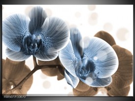 Glas schilderij Orchidee | Blauw, Grijs
