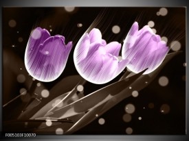 Foto canvas schilderij Tulp | Paars, Grijs