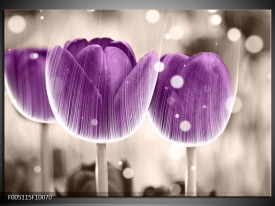 Foto canvas schilderij Tulp | Paars, Wit