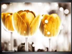 Foto canvas schilderij Tulp | Geel, Wit