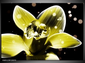 Foto canvas schilderij Iris | Geel, Zwart
